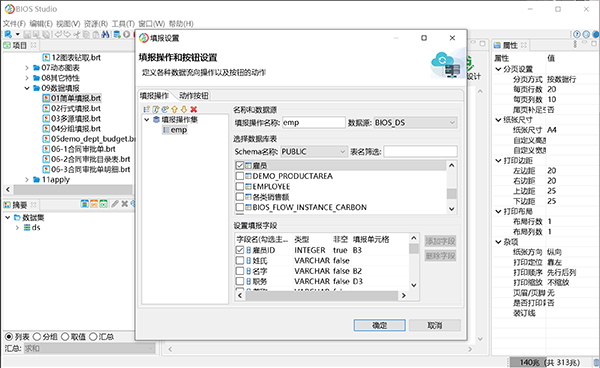 皕杰报表